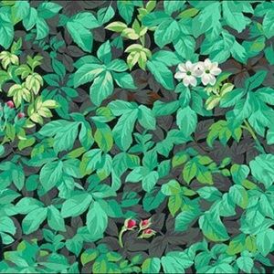 Meet your Posher, Celia